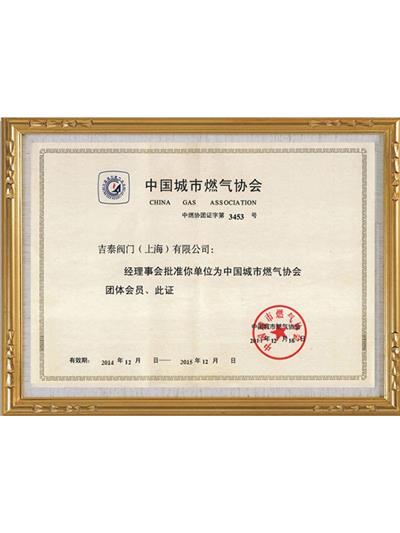 中国城市燃气协会